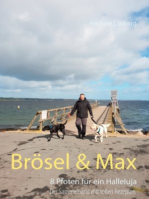 cover image of Brösel & Max